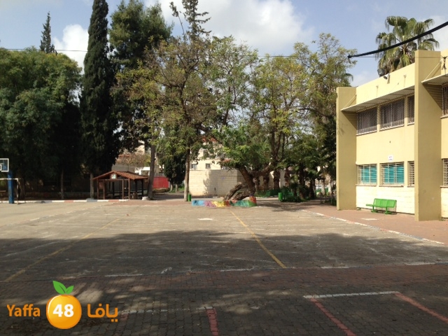 rashidya9214r (6).jpg